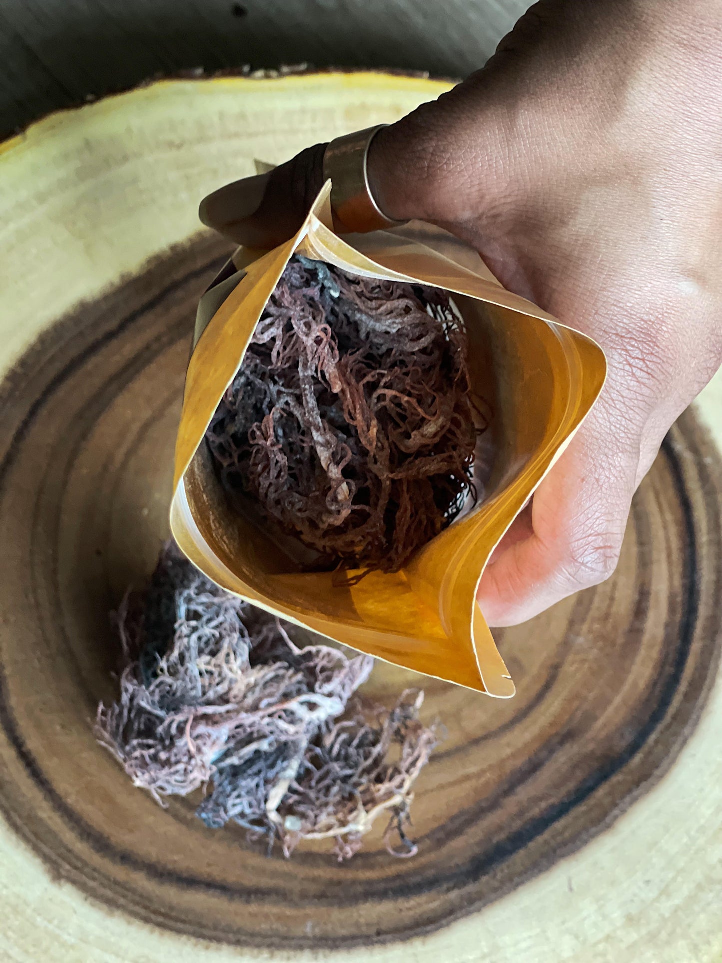 Sea Moss for Beginners course